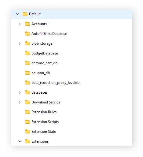 Opening the Default folder in the User Data folder of the Chrome folder